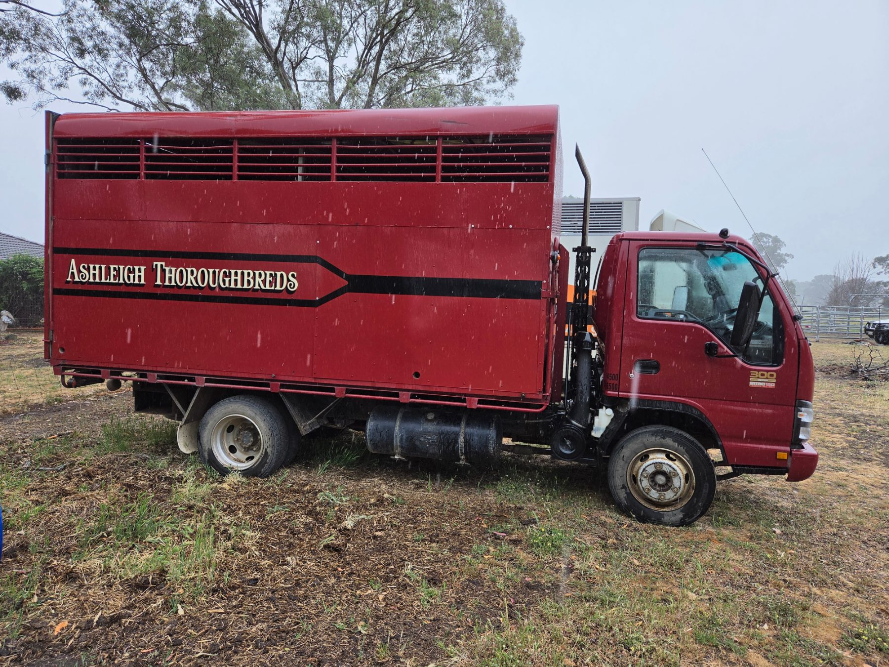 Used - 2005 Isuzu NPR 300 Horse Truck - photo 6