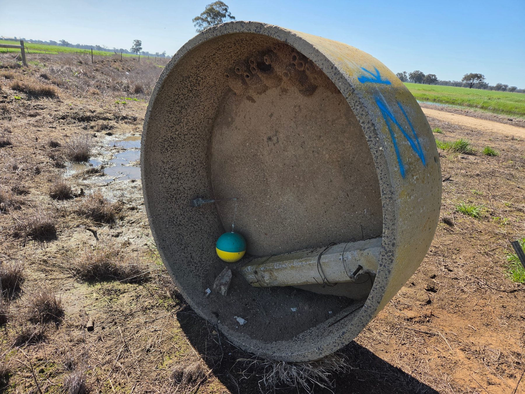 6ft Stock Trough with Ball Valve (Zk) - photo 4