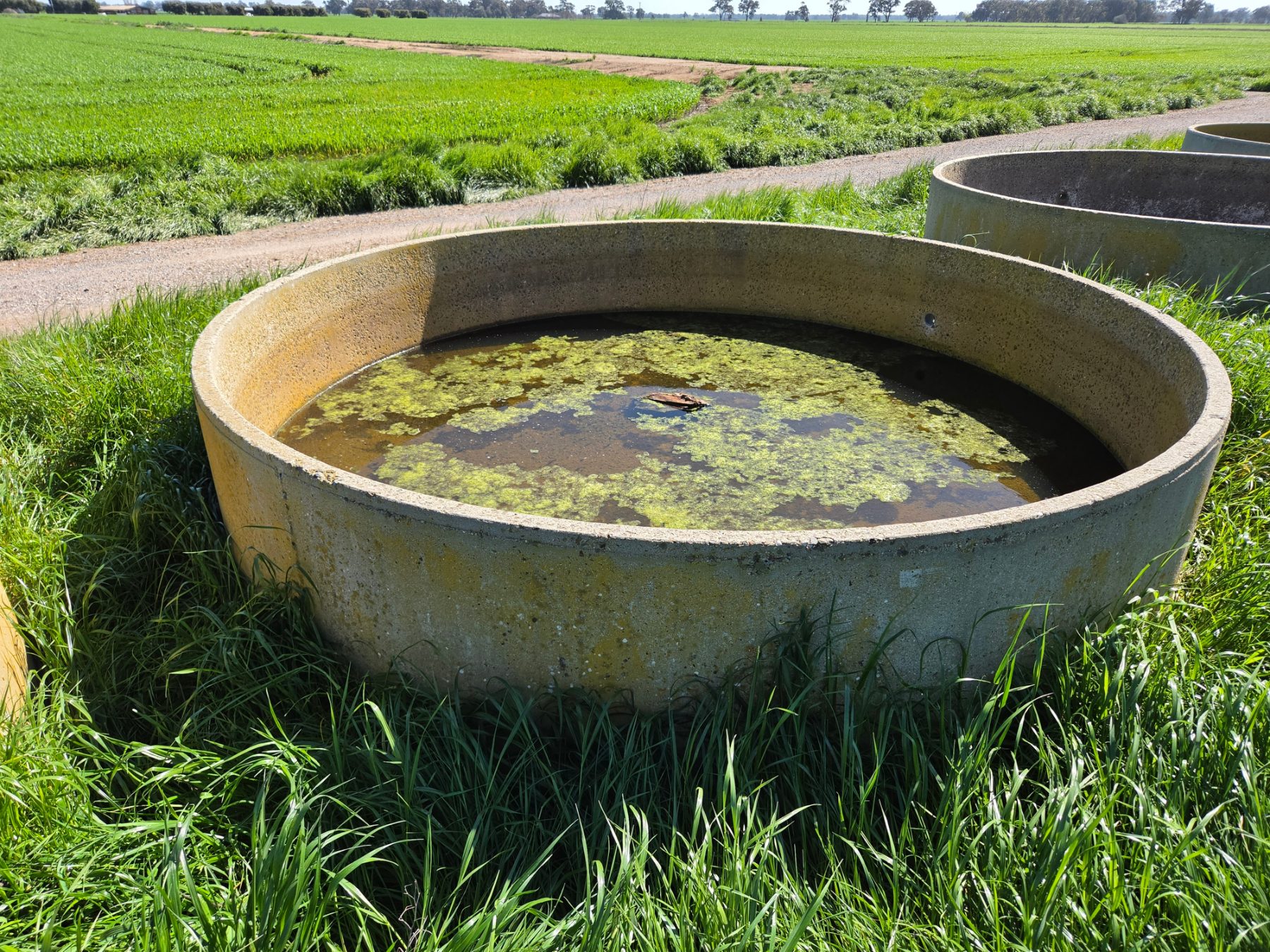 10ft Stock Trough (I) - photo 2