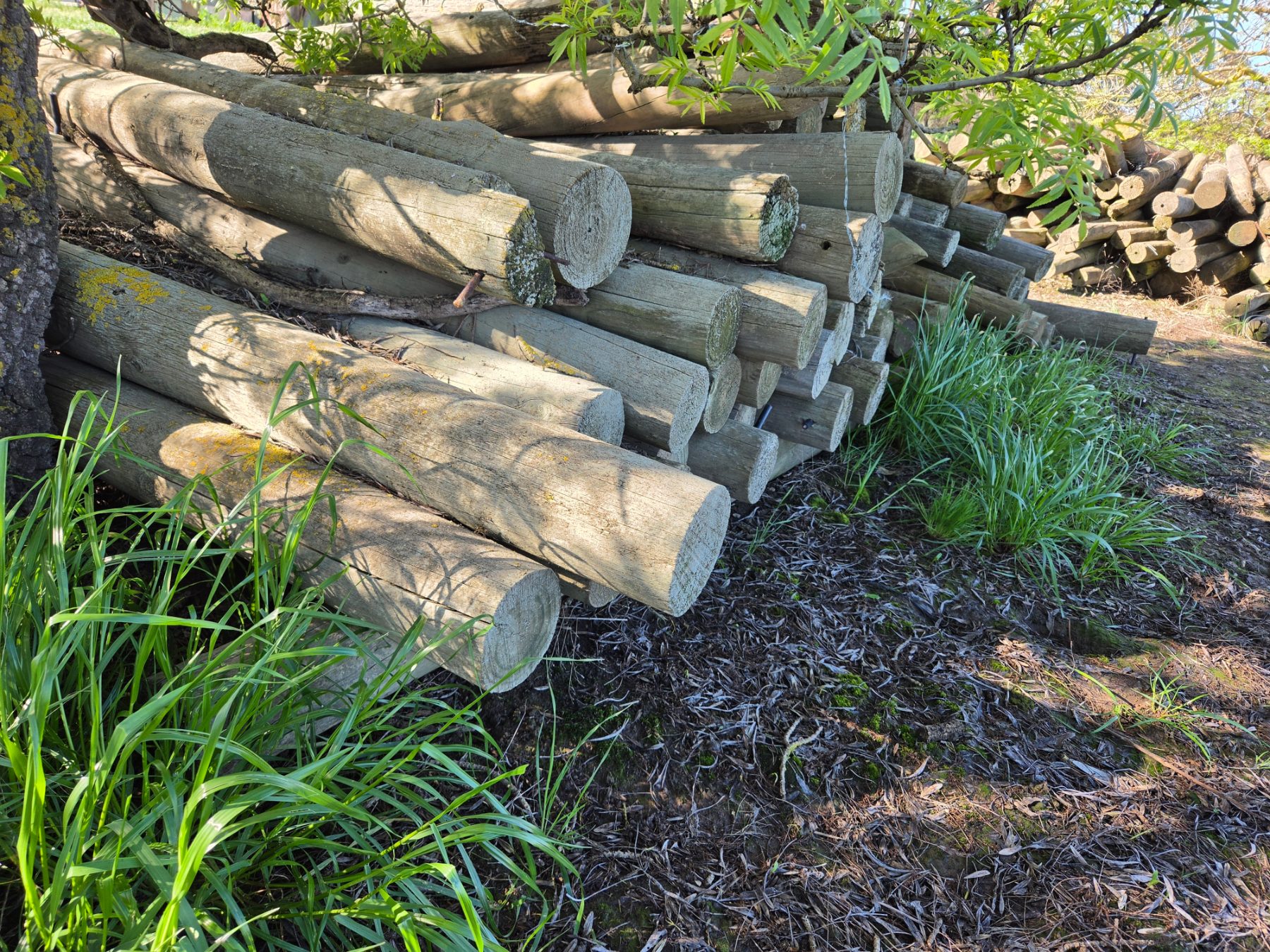143x Assorted Pine Fence Posts - photo 4