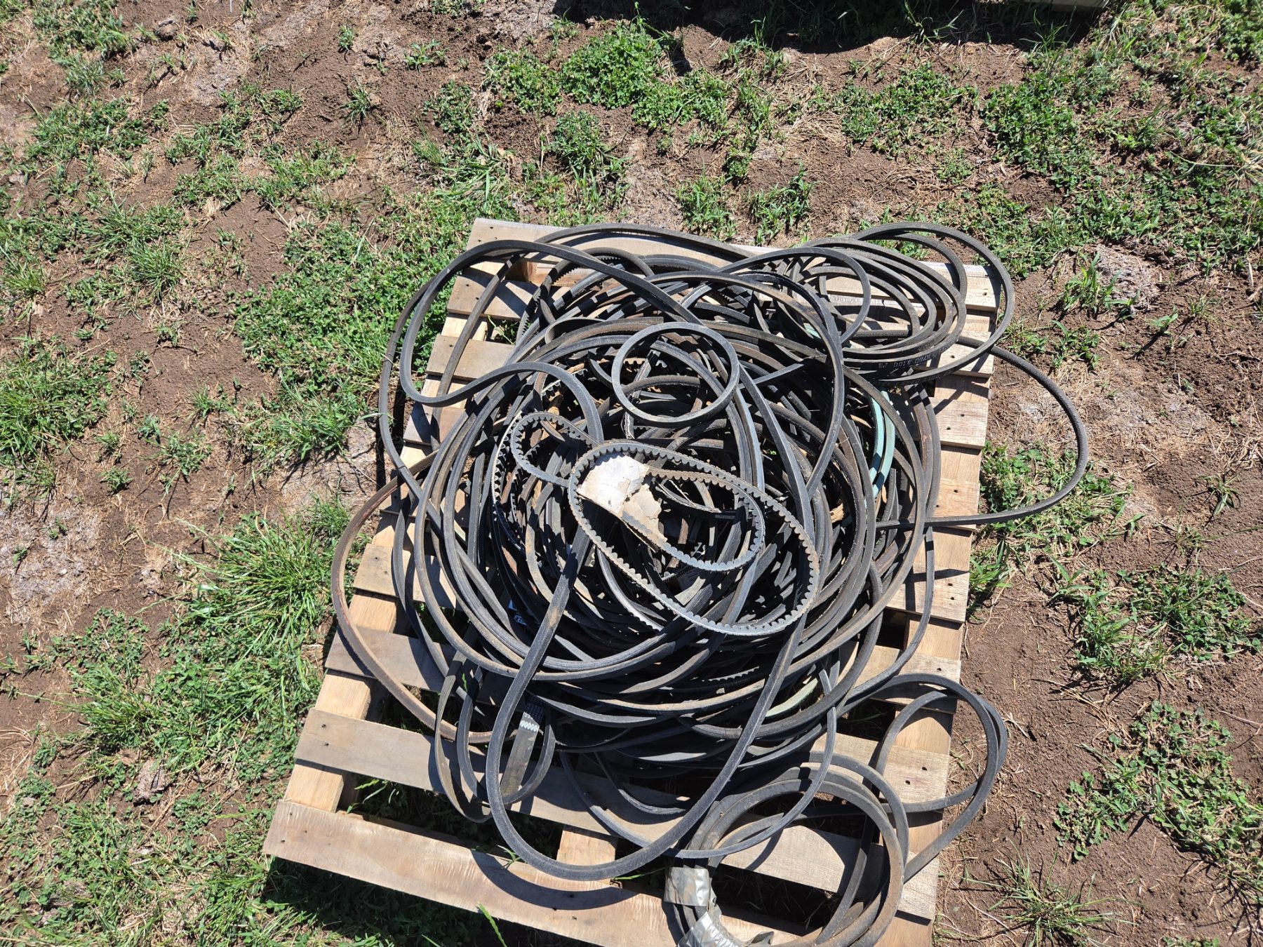 Used - Assorted B-Section V-Belts - photo 4