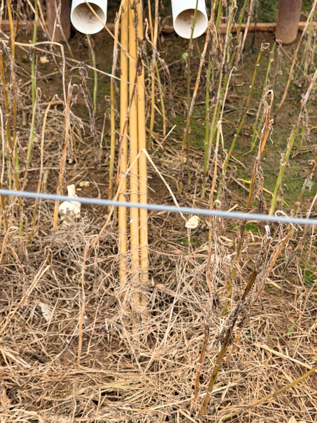 Assorted lengths of PVC pipe & plastic hot water pipe - photo 4