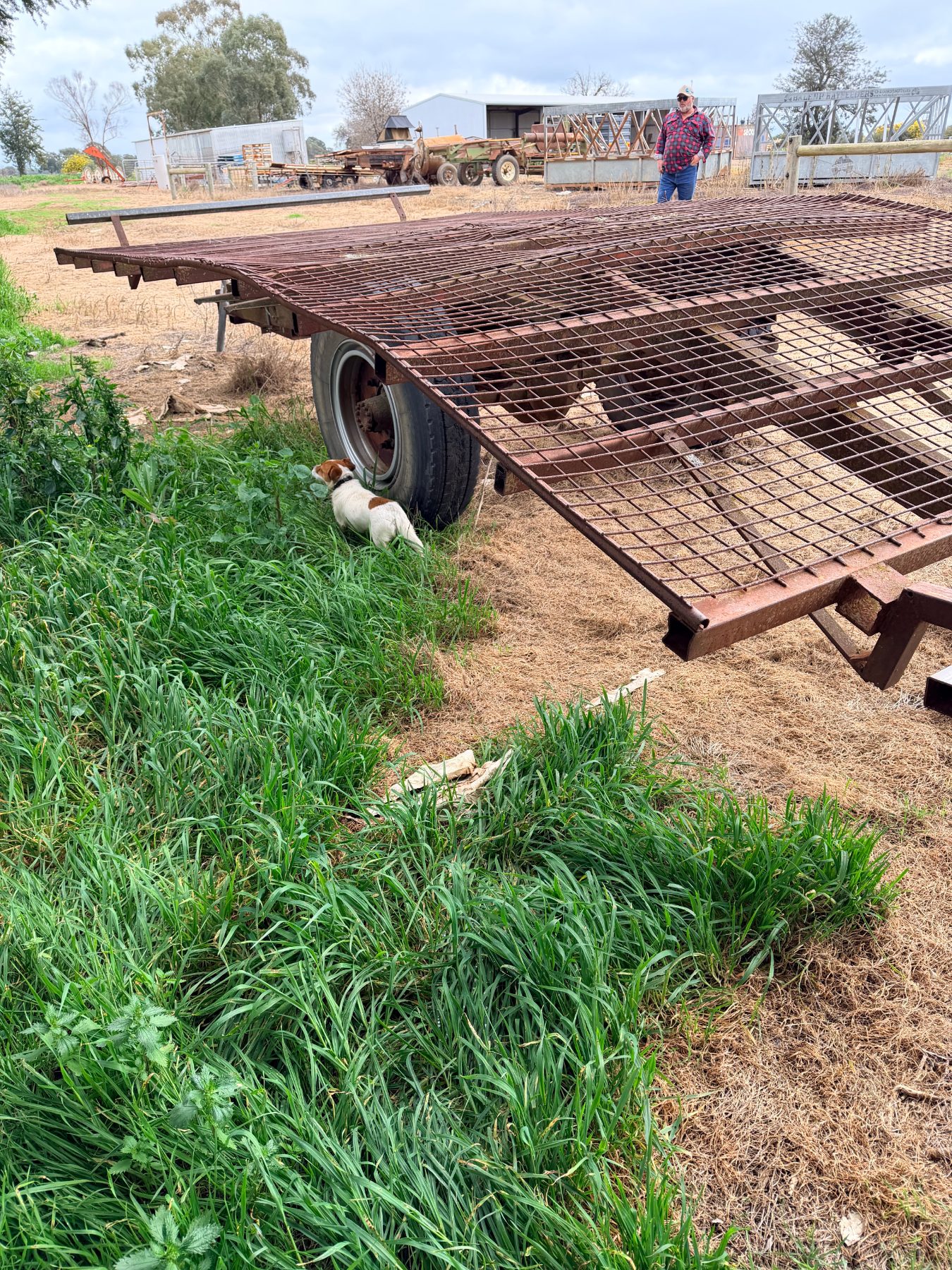 Hay trailer - photo 2