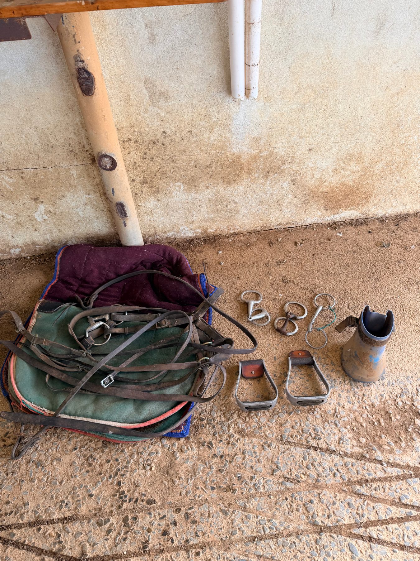 Horse riding accessories - photo 2
