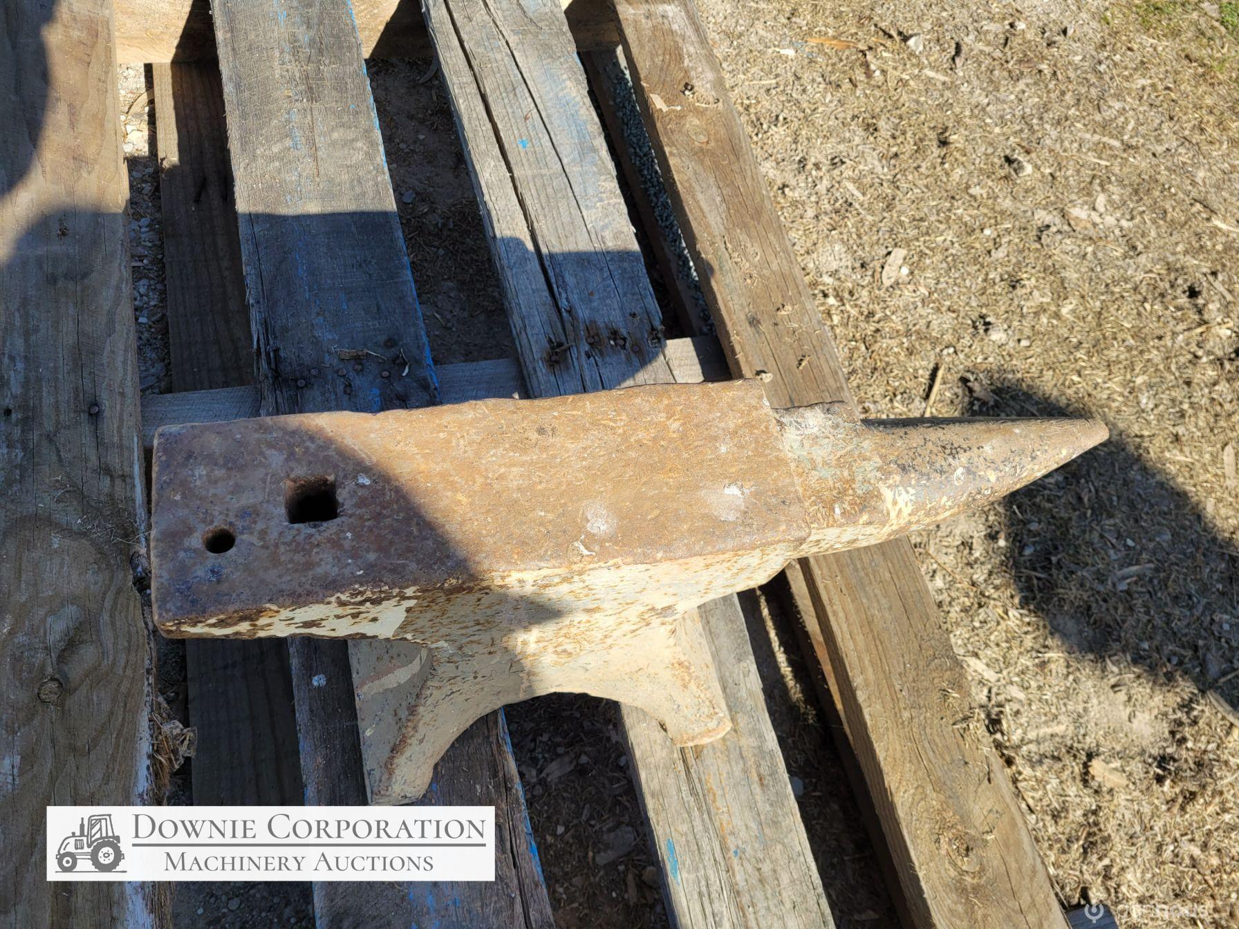 Blacksmiths Anvil 88 lb (40 Kg) - photo 5