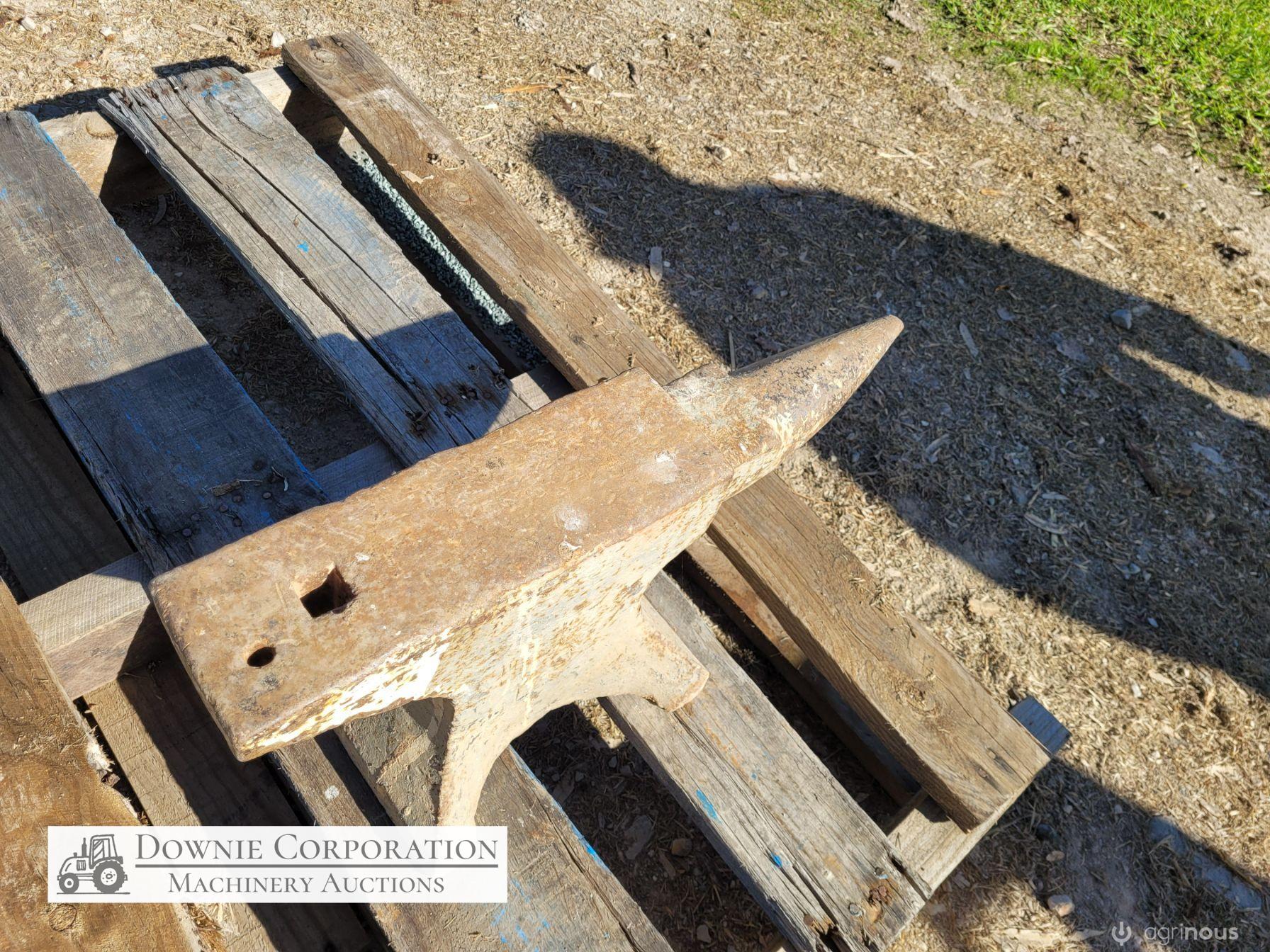 Blacksmiths Anvil 88 lb (40 Kg) - photo 4