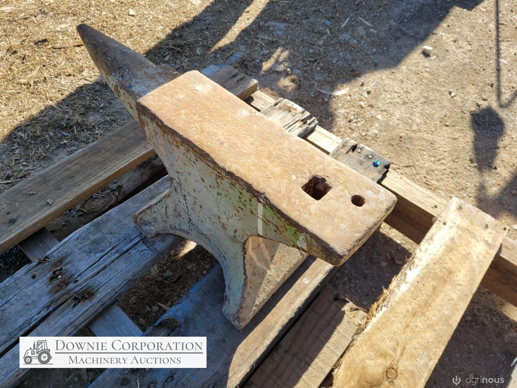 Blacksmiths Anvil 88 lb (40 Kg) - photo 3