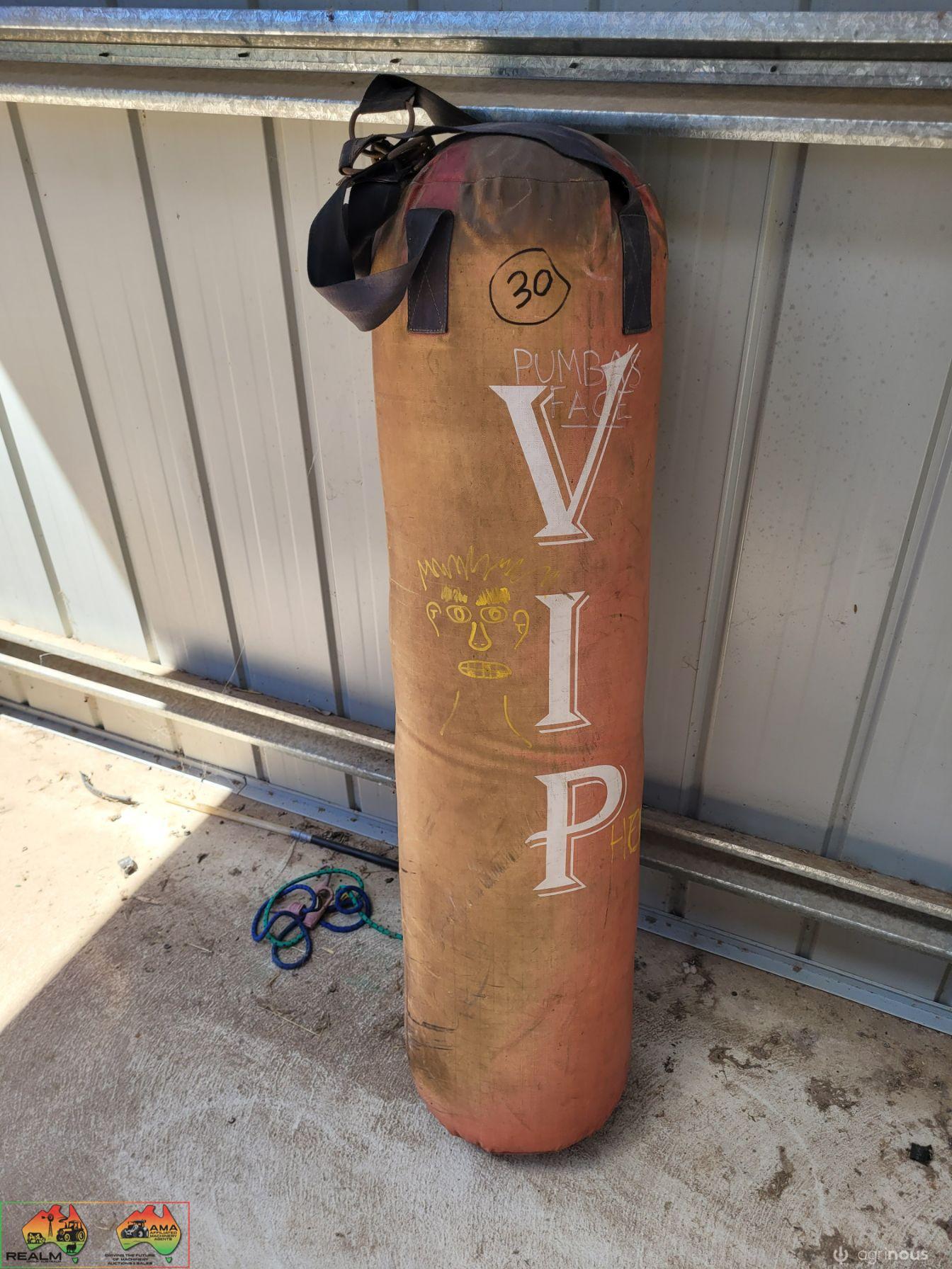 Boxing Practice 'Punching Bag'