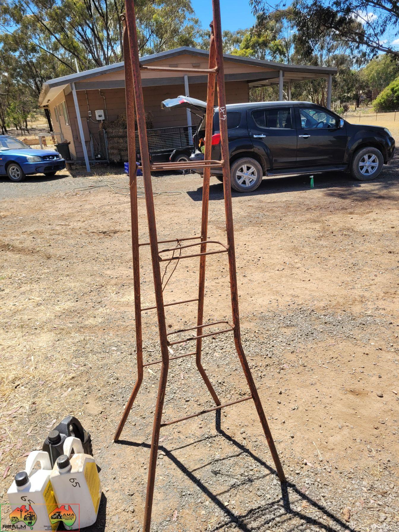 Fruit Picker's Ladder