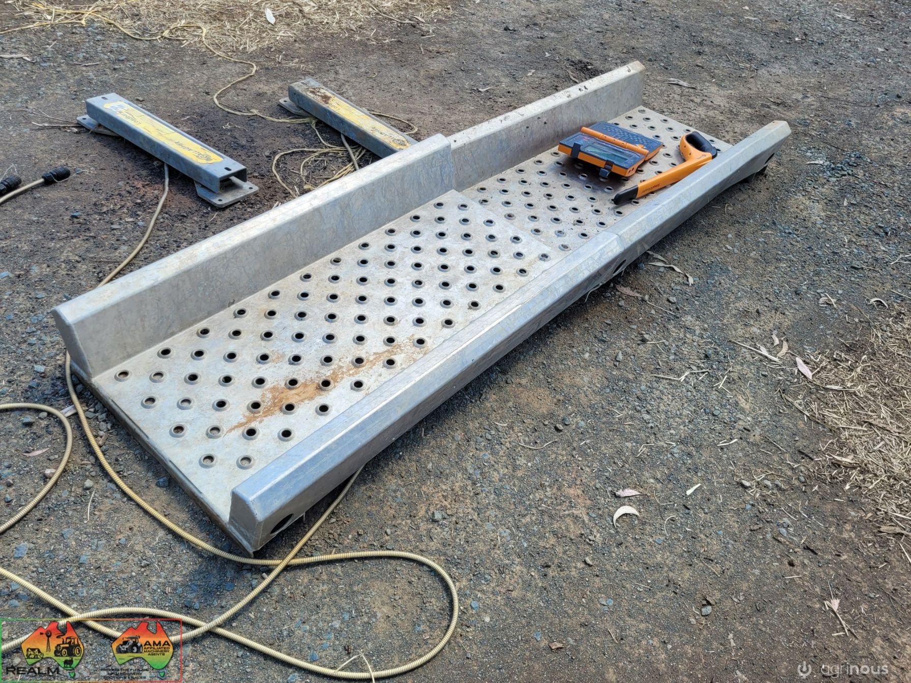 Gallagher Alloy Calf Scales - photo 3