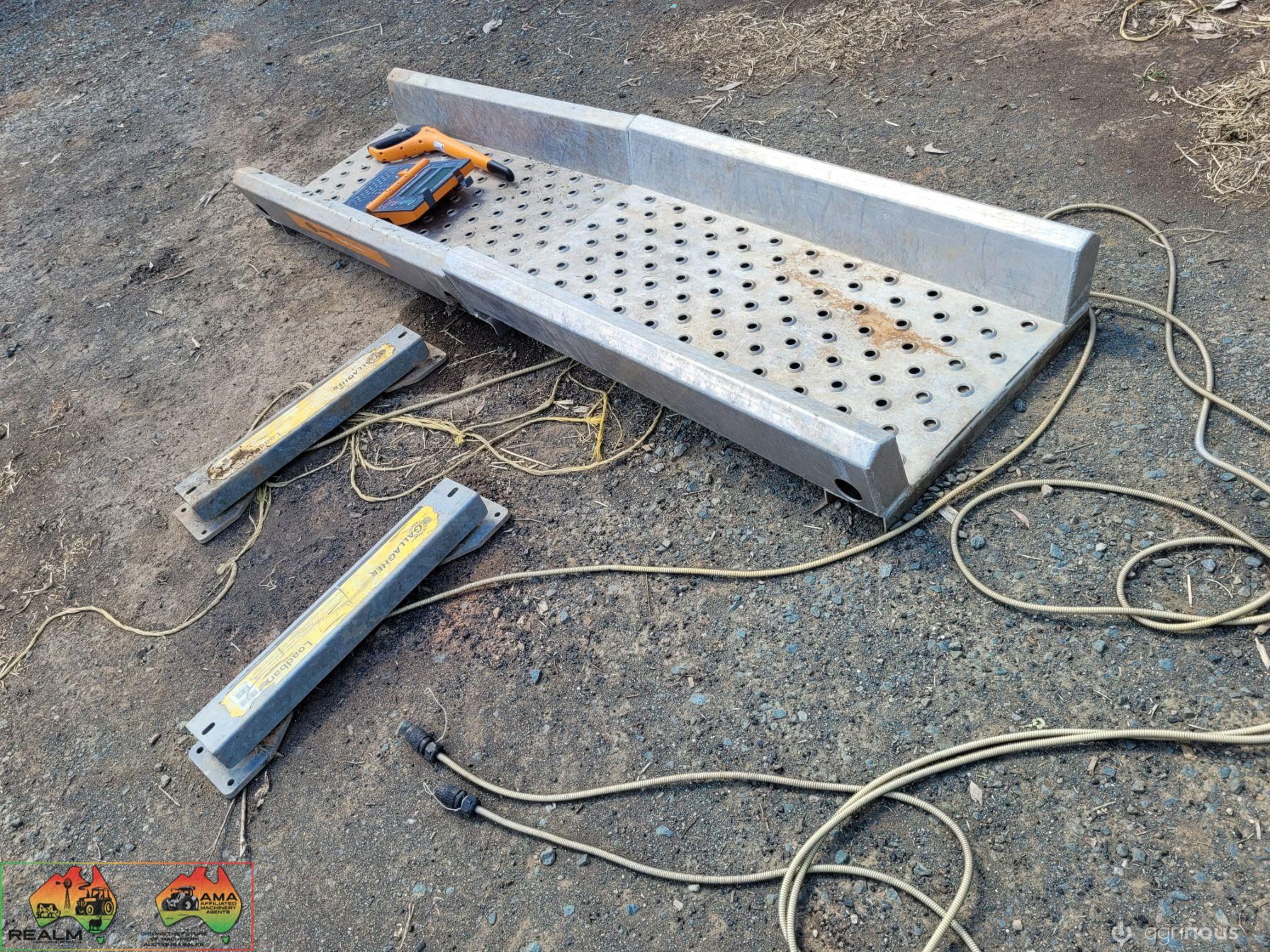Gallagher Alloy Calf Scales
