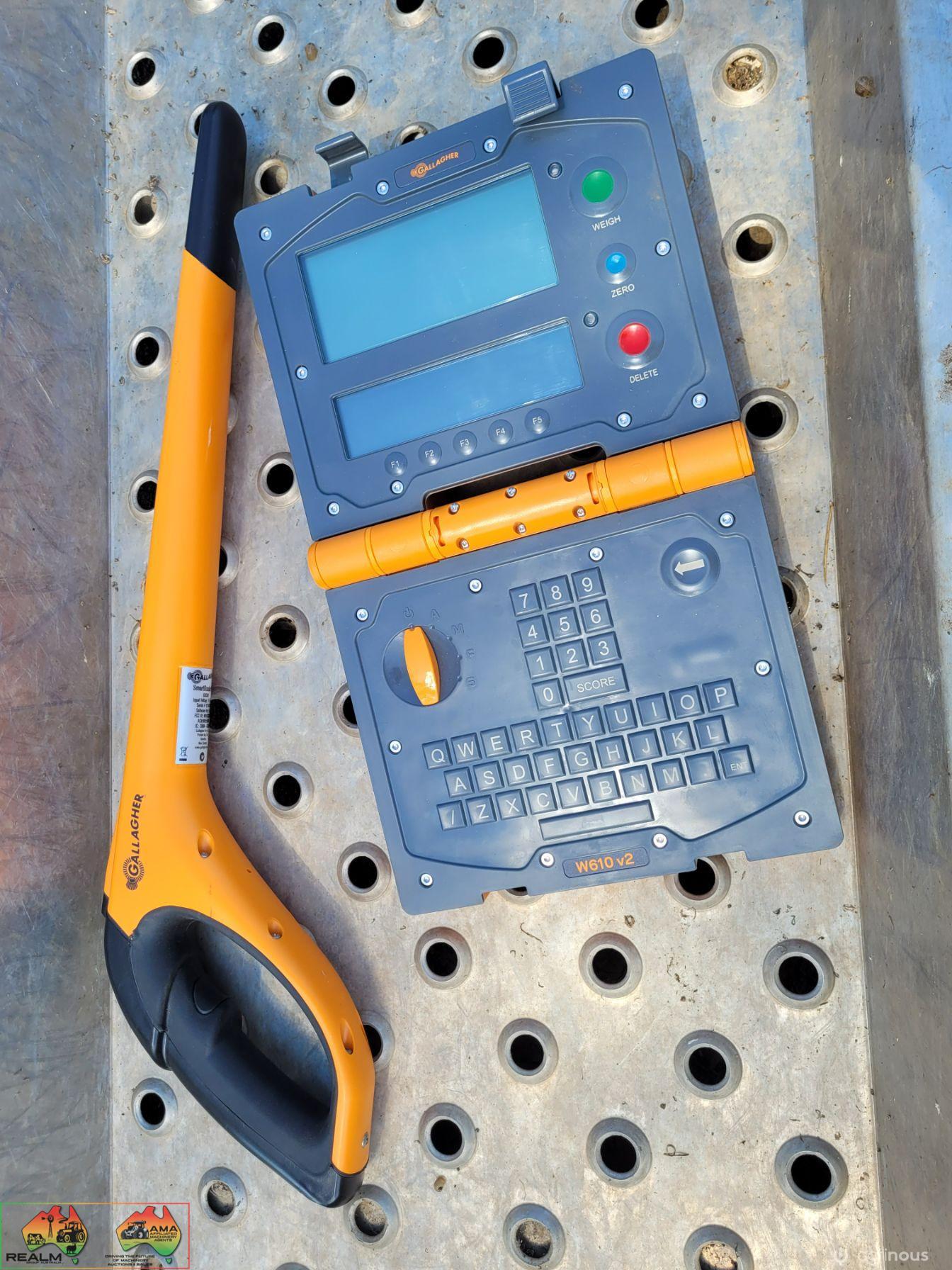 Gallagher Alloy Calf Scales - photo 4