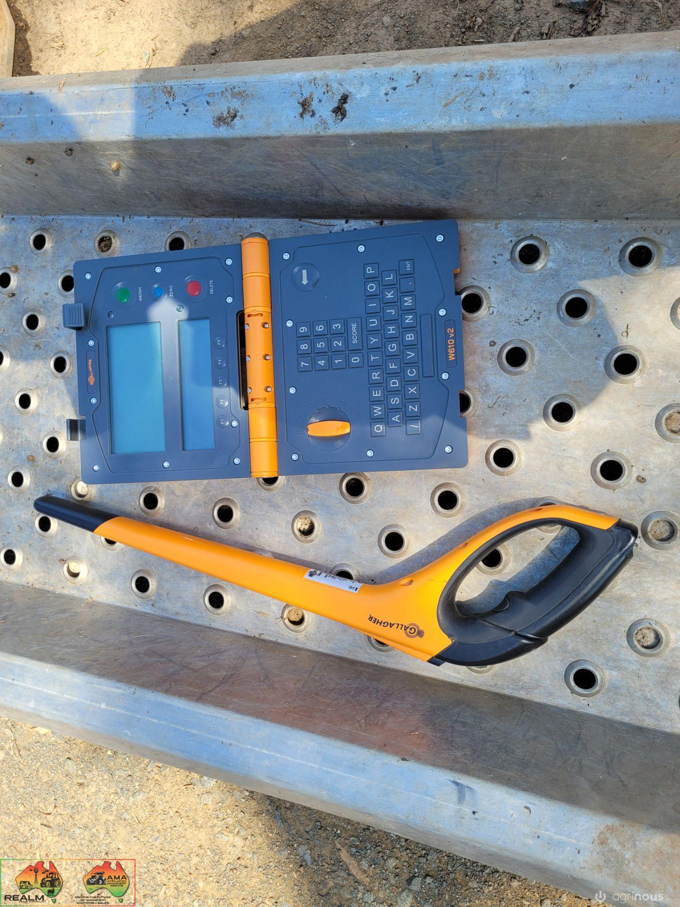 Gallagher Alloy Calf Scales - photo 5