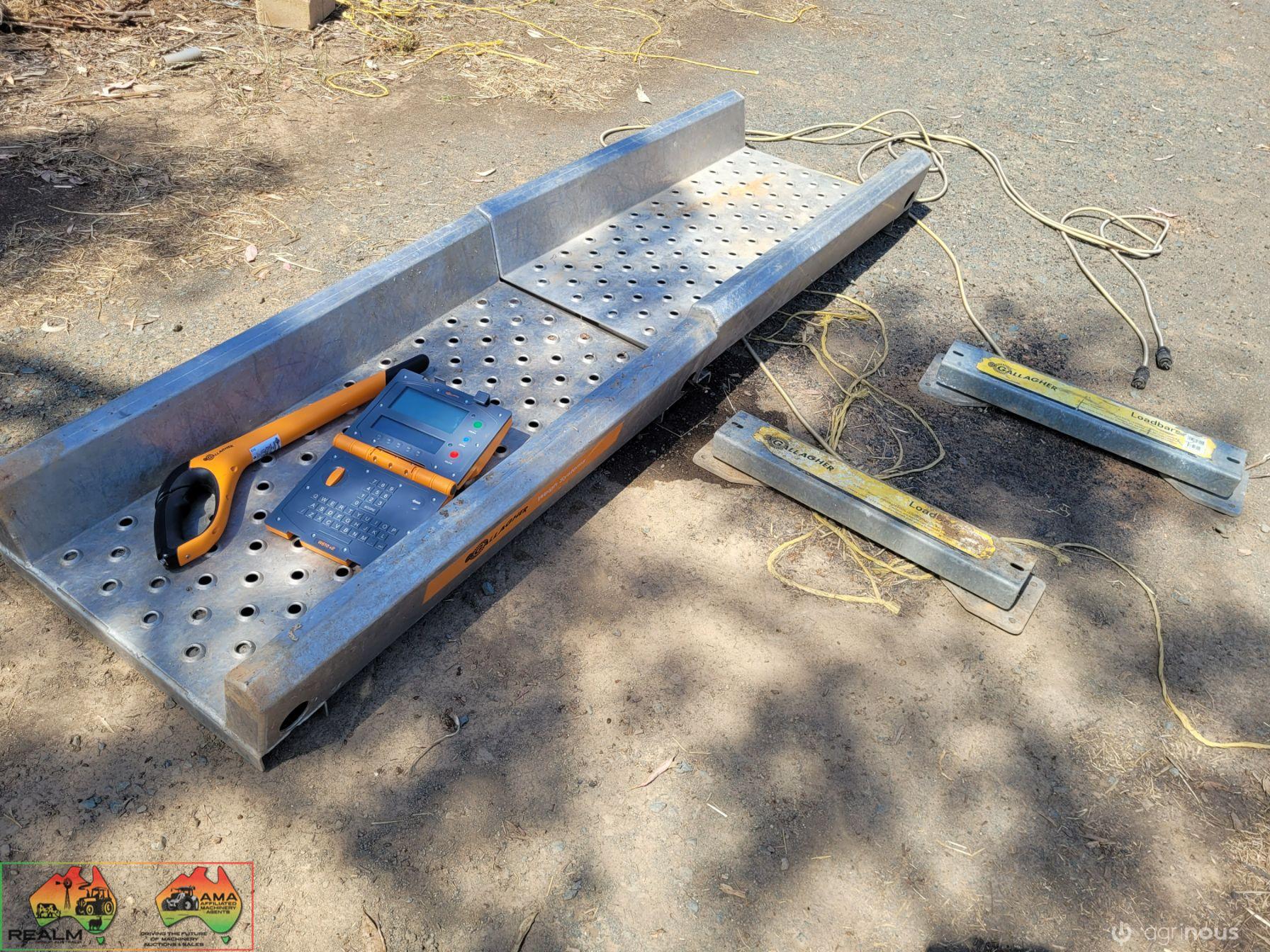 Gallagher Alloy Calf Scales - photo 2