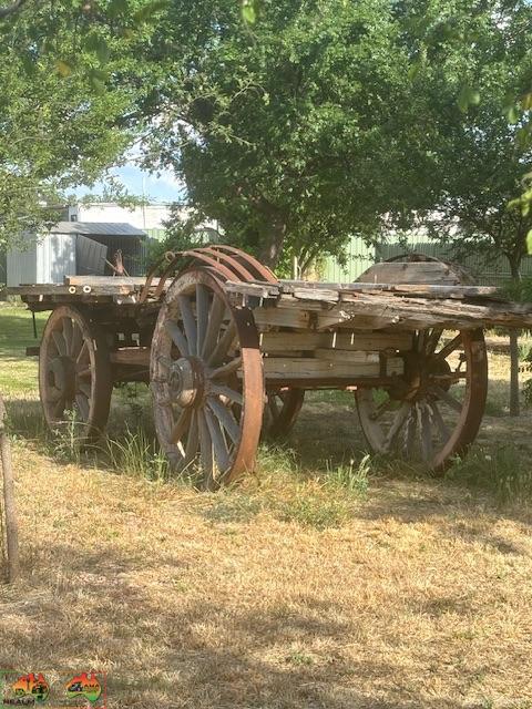 Horse drawn Wagon