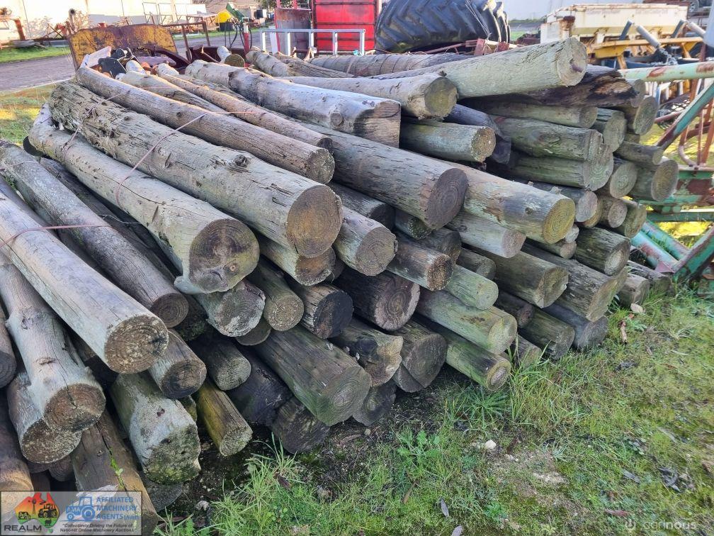 30x 8ft Treated Pine Posts