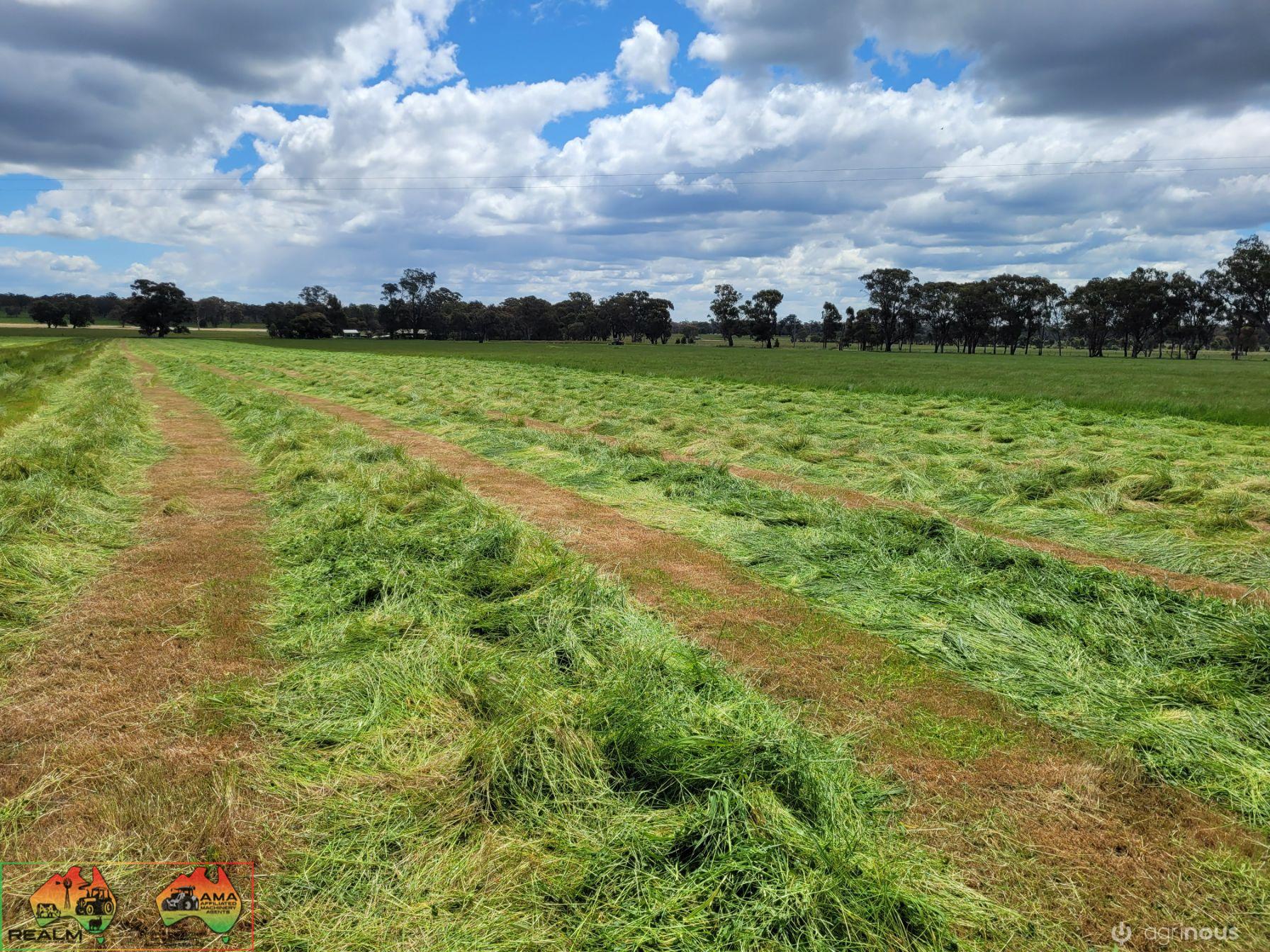 40x New Season HAY ~ Quality Rolls of Clover & Rye