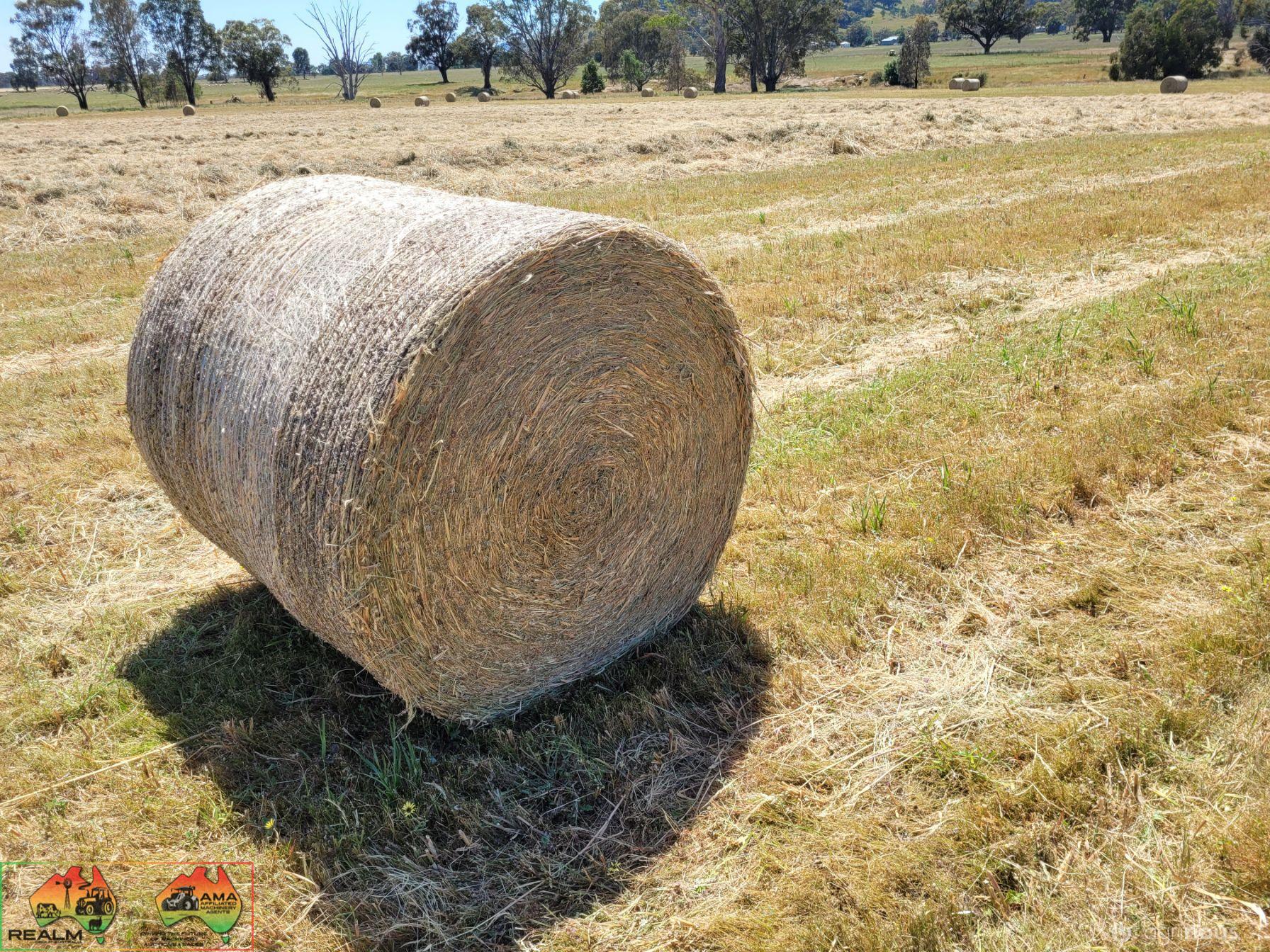 40x New Season HAY ~ Rolls of Oats & Vetch ($/bale)