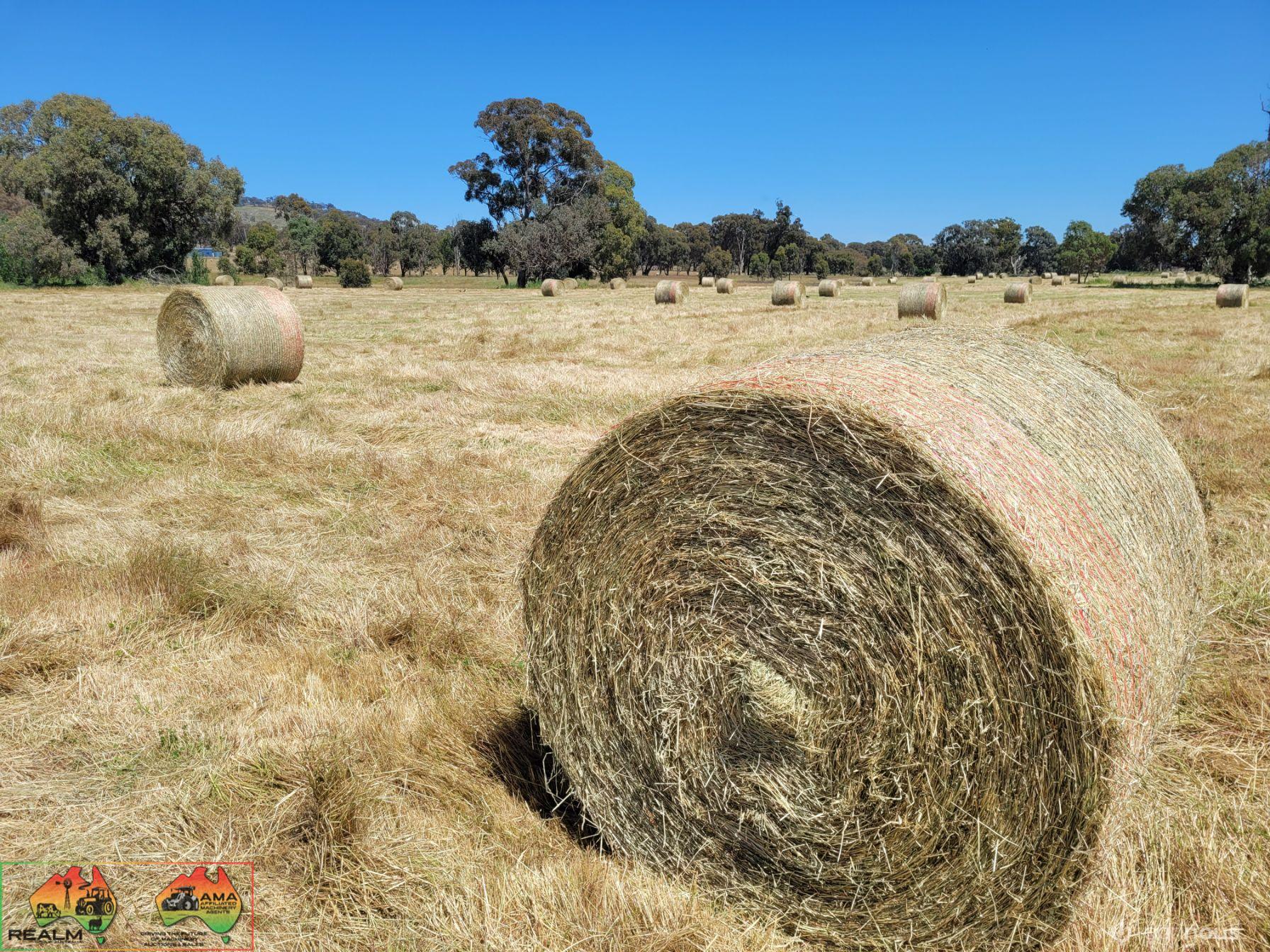 40x New Season HAY ~ Quality Rolls of Clover & Rye - photo 7