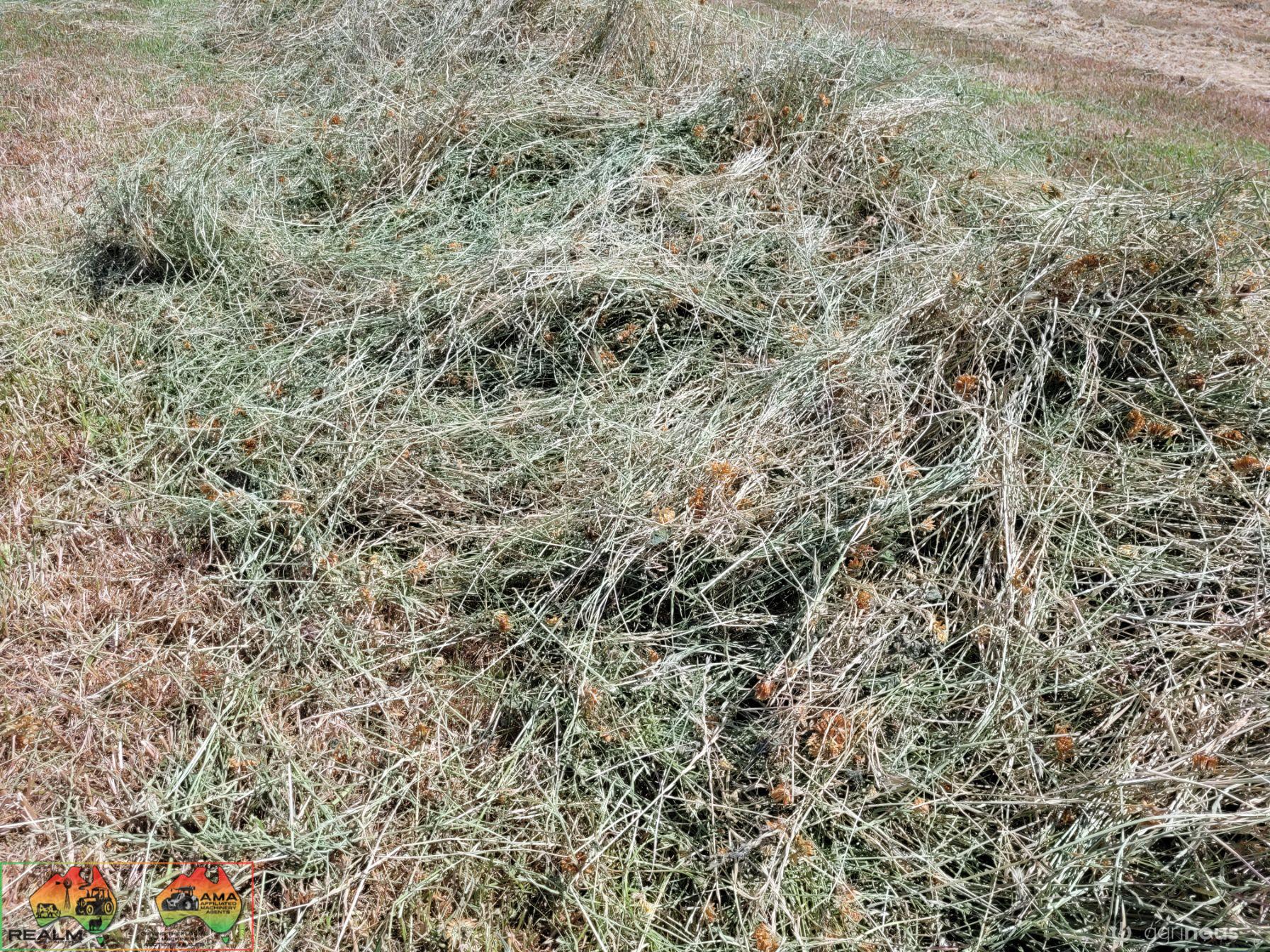 40x New Season HAY ~ Quality Rolls of Clover & Rye - photo 5