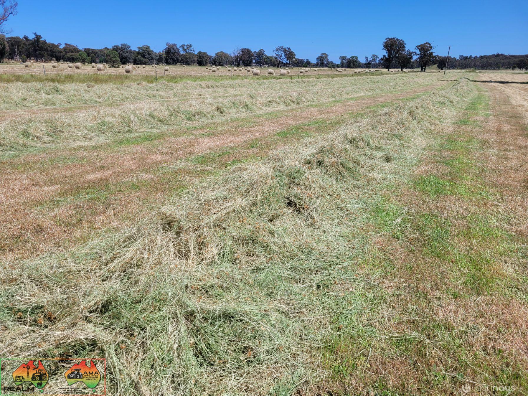 40x New Season HAY ~ Quality Rolls of Clover & Rye - photo 4