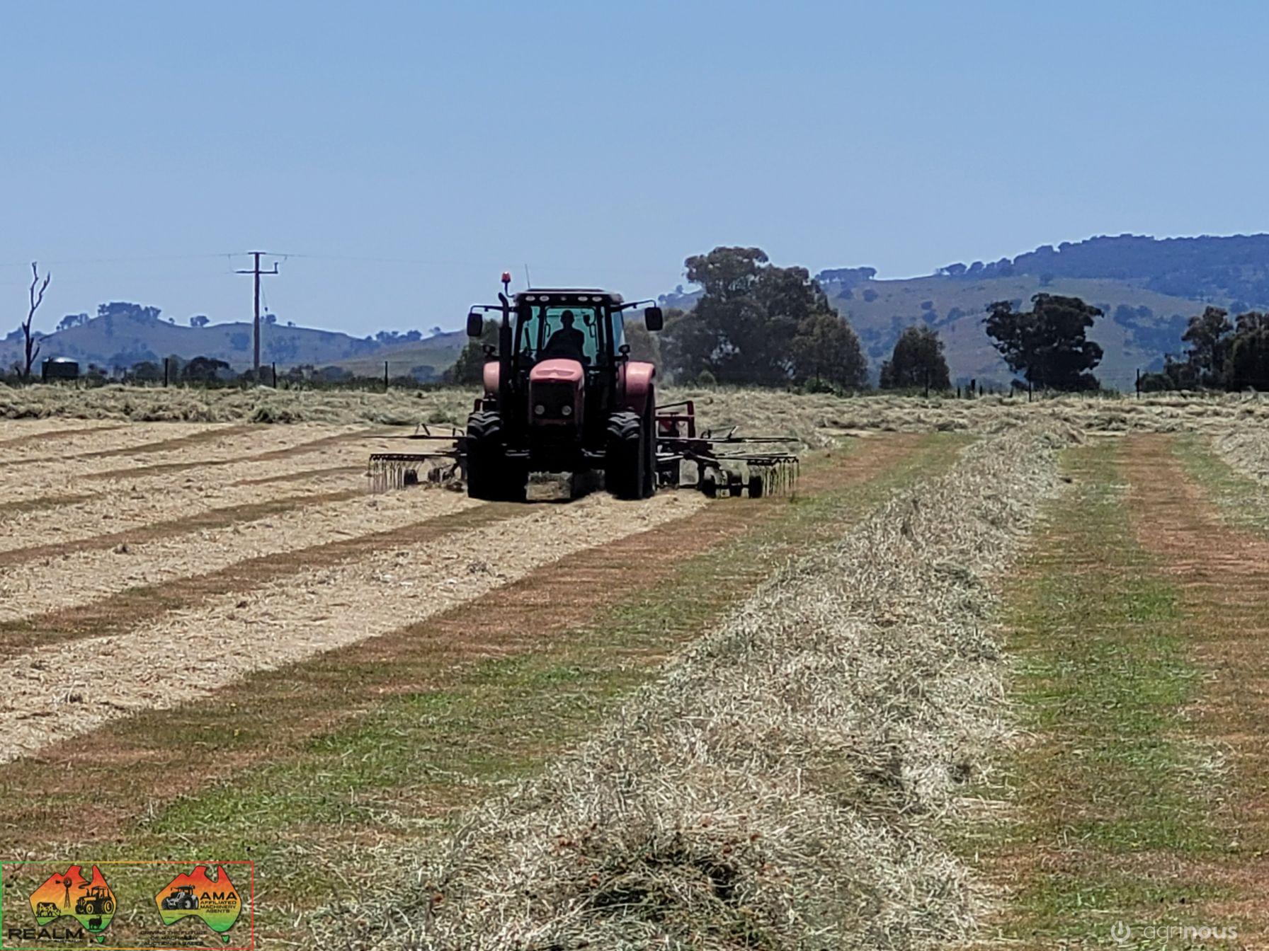 40x New Season HAY ~ Quality Rolls of Clover & Rye - photo 3