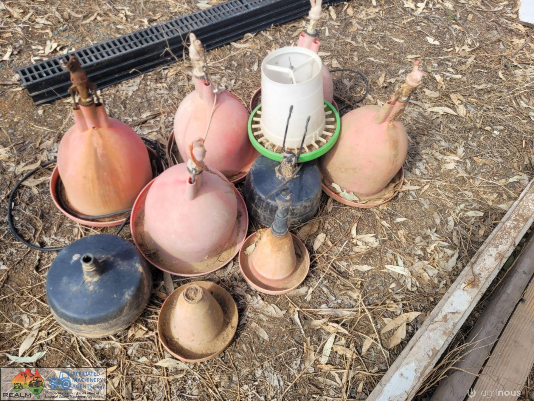 Assorted Chicken Feeders