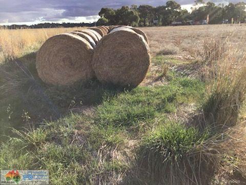 5x4 Rolls of Barley Hay (x86) - photo 3