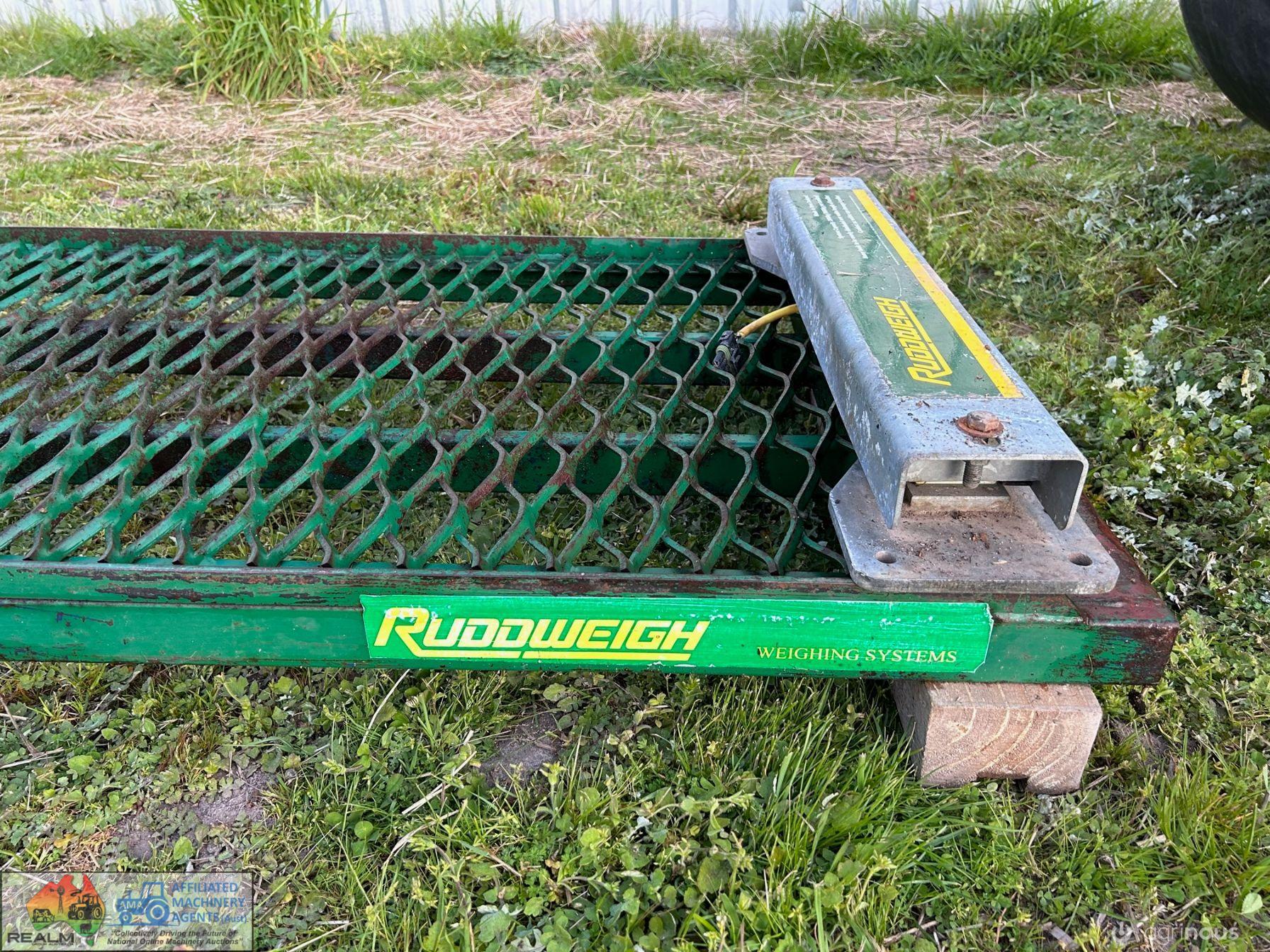 Cattle Scales Platform with Load Cells - photo 6