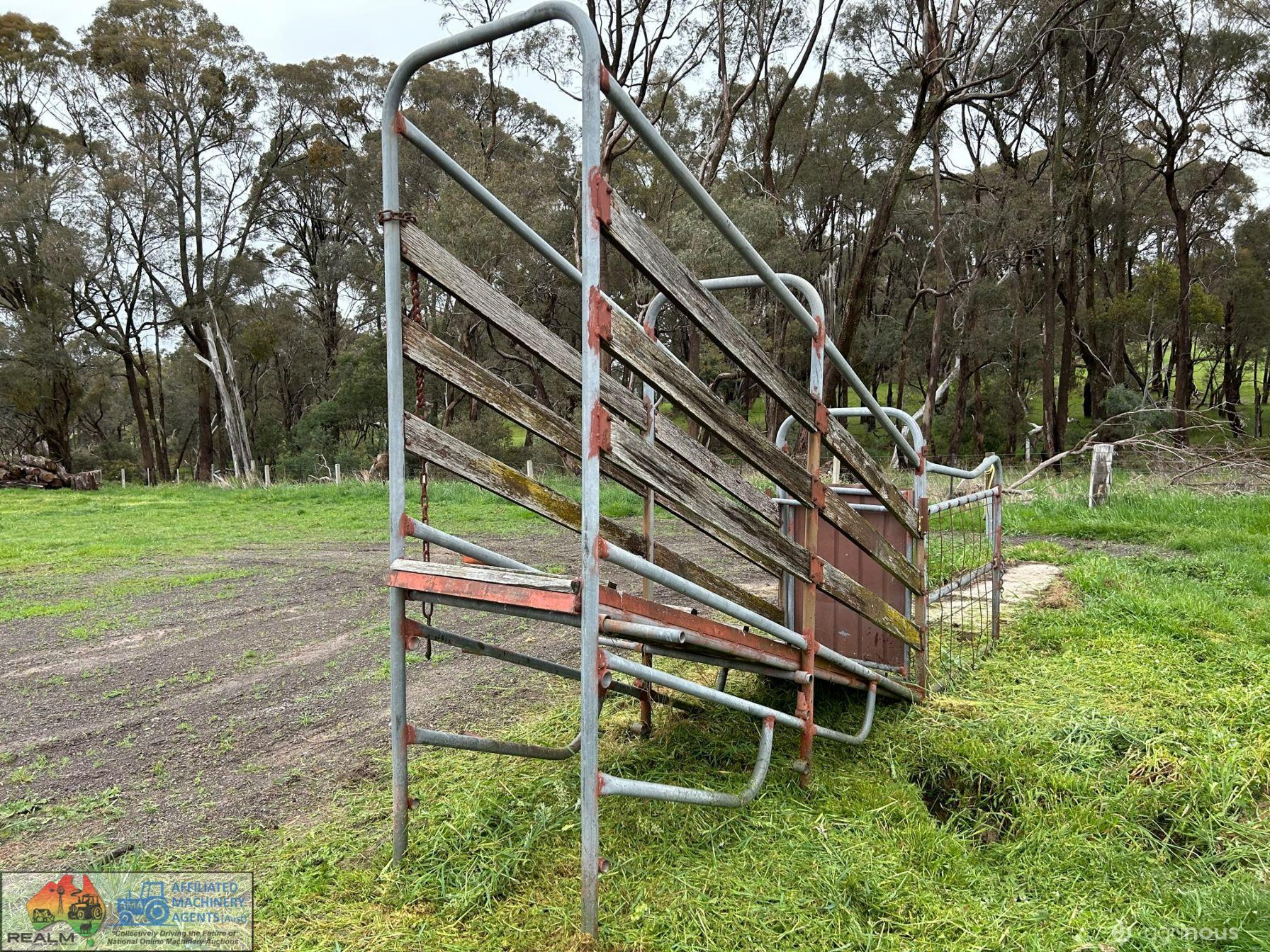 Cattle Loading Race - photo 3