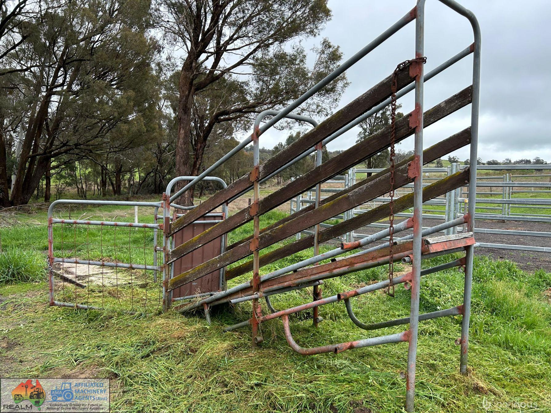 Cattle Loading Race