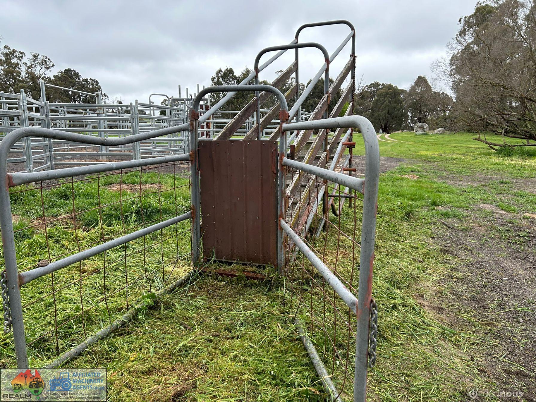 Cattle Loading Race - photo 4