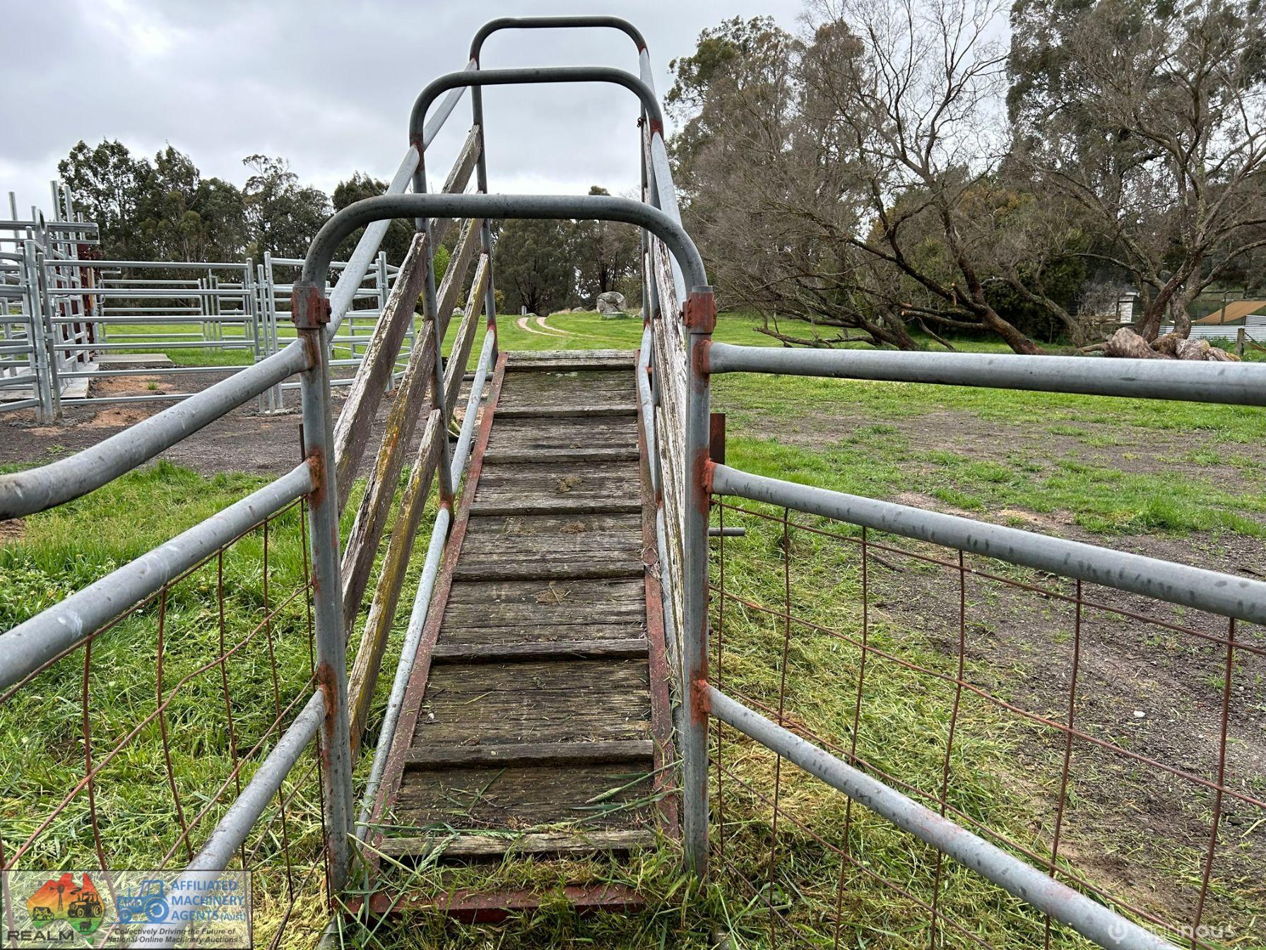 Cattle Loading Race - photo 2