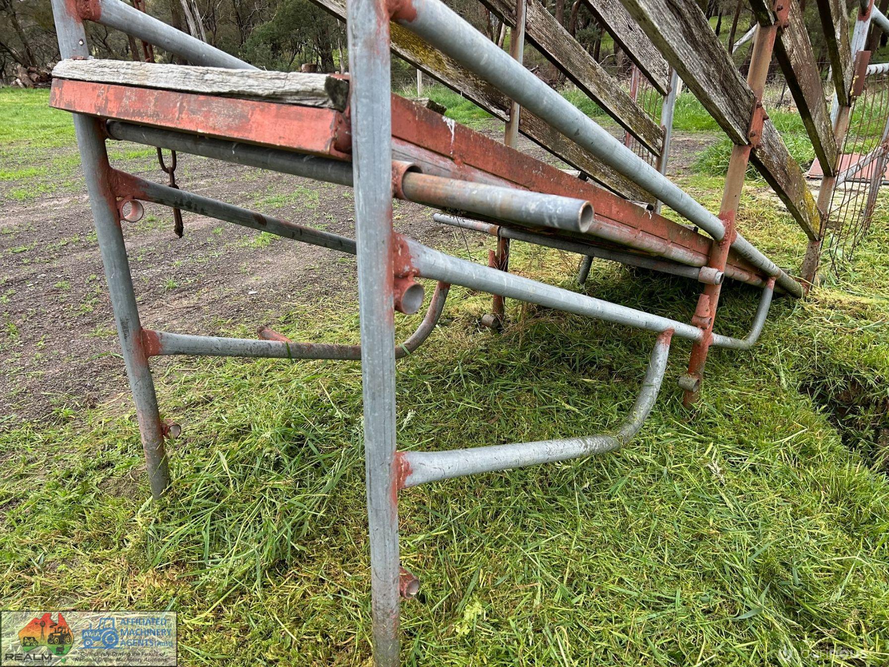 Cattle Loading Race - photo 5