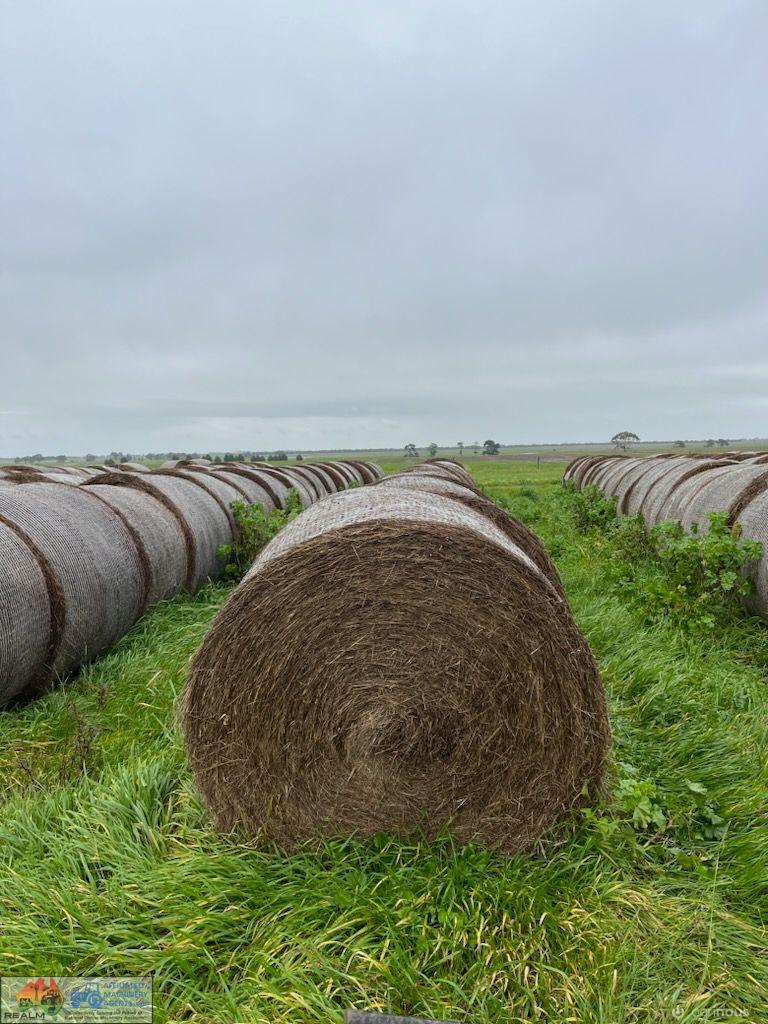 Quality Ryegrass & Clover Pasture Hay (x34 Rolls) - photo 2