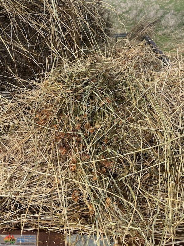 Quality Ryegrass & Clover Pasture Hay (x34 Rolls)