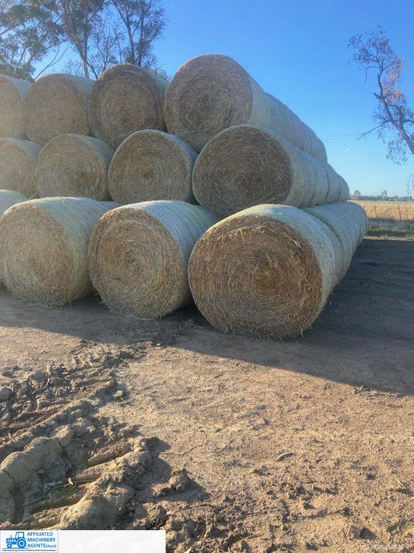 Good Quality Planet Barley Straw (x48 Rolls)