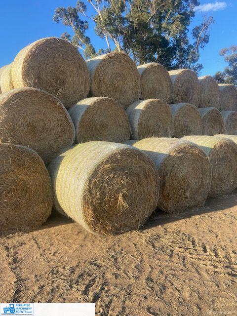 Good Quality Planet Barley Straw (x48 Rolls) - photo 2