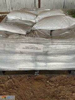 Retained Bonito TT Canola Seed (40 x 20kg Bags) - photo 3