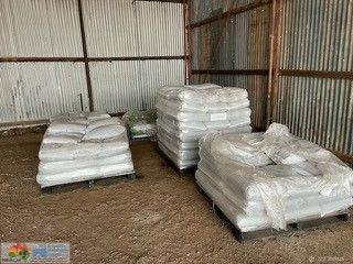 Retained Bonito TT Canola Seed (40 x 20kg Bags)