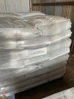 Retained Bonito TT Canola Seed (40 x 20kg Bags) - photo 2