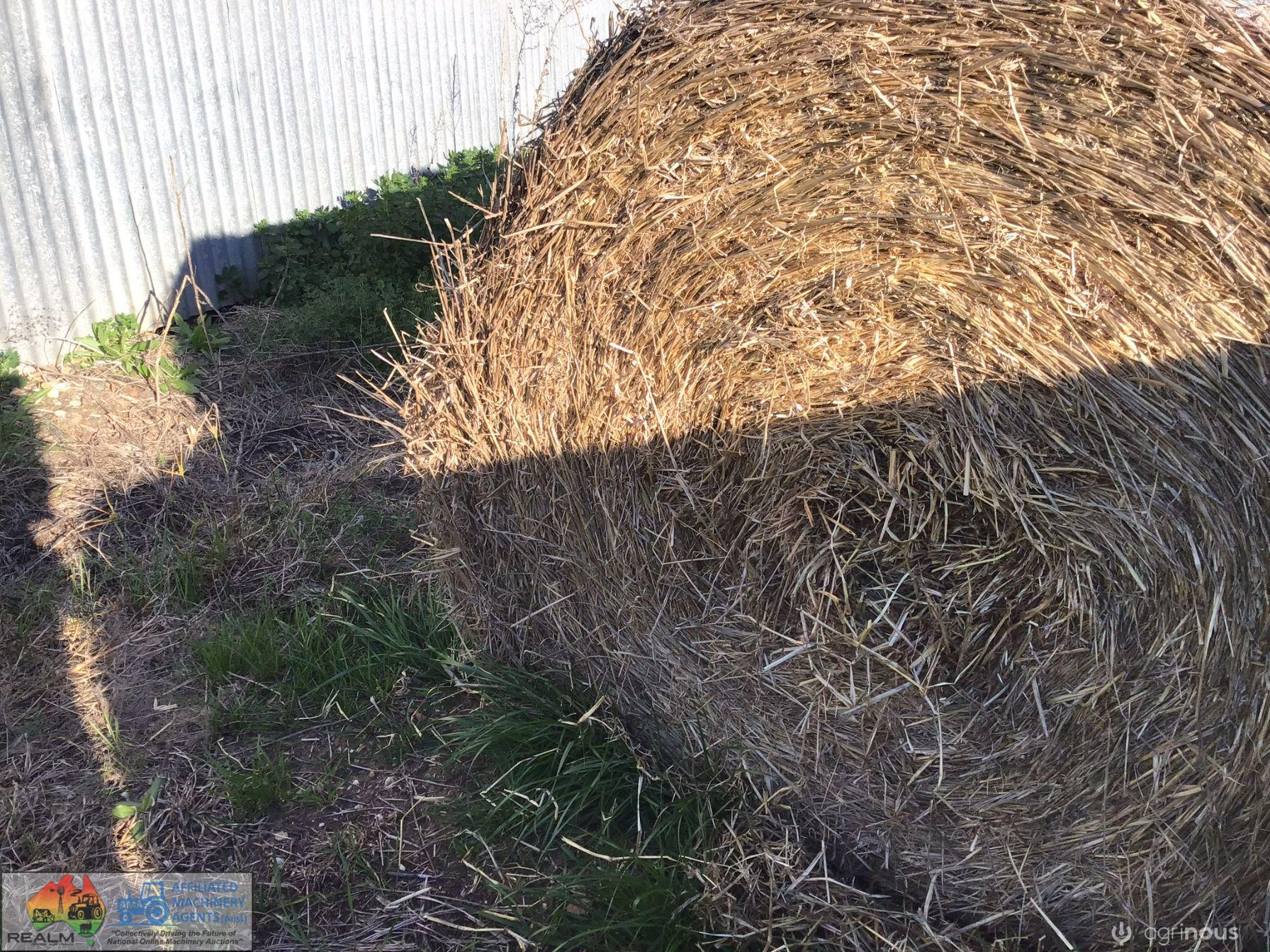 Ryegrass Filler Hay x34 Rolls - photo 8