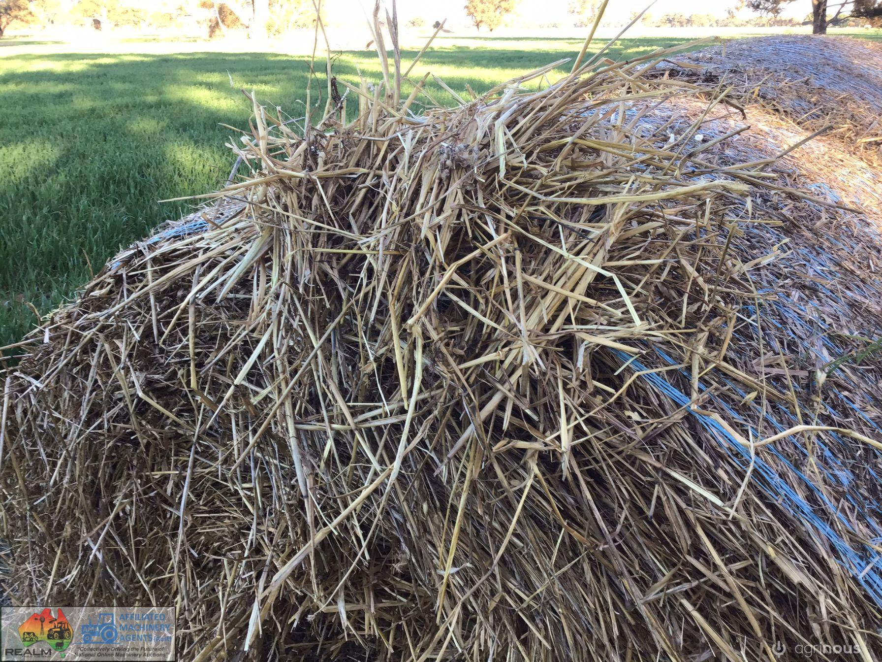 Ryegrass Filler Hay x34 Rolls - photo 6