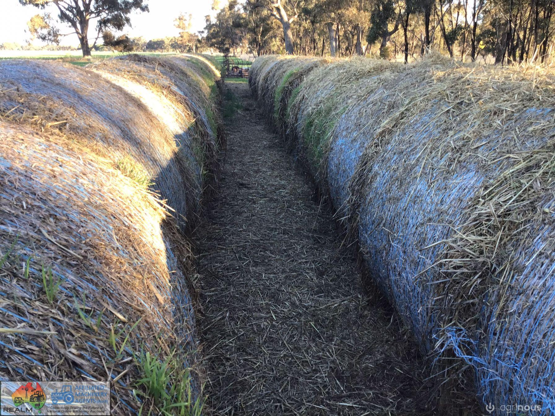 Ryegrass Filler Hay x34 Rolls - photo 7