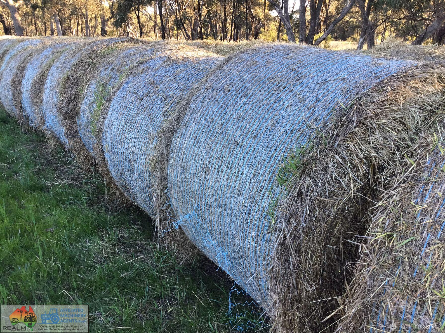 Ryegrass Filler Hay x34 Rolls - photo 5