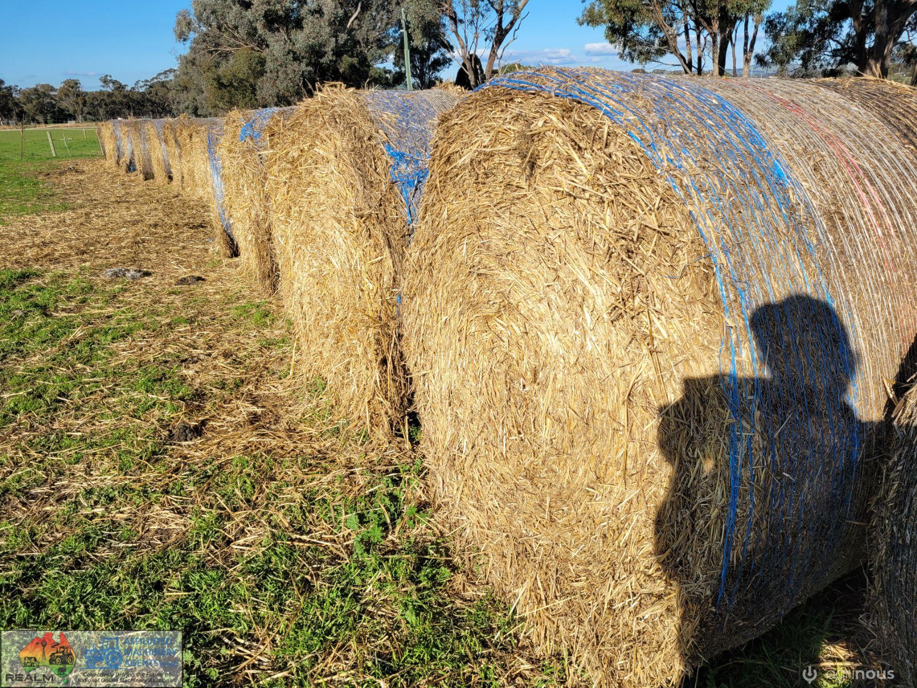 Header Tailings Wheaten Straw (x20)