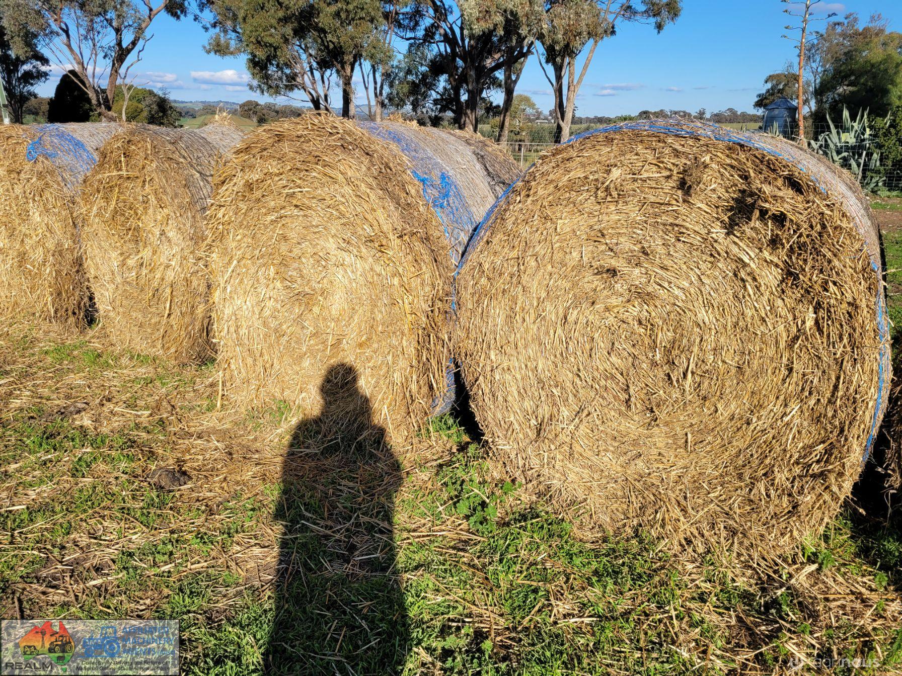 Header Tailings Wheaten Straw (x52) - photo 5