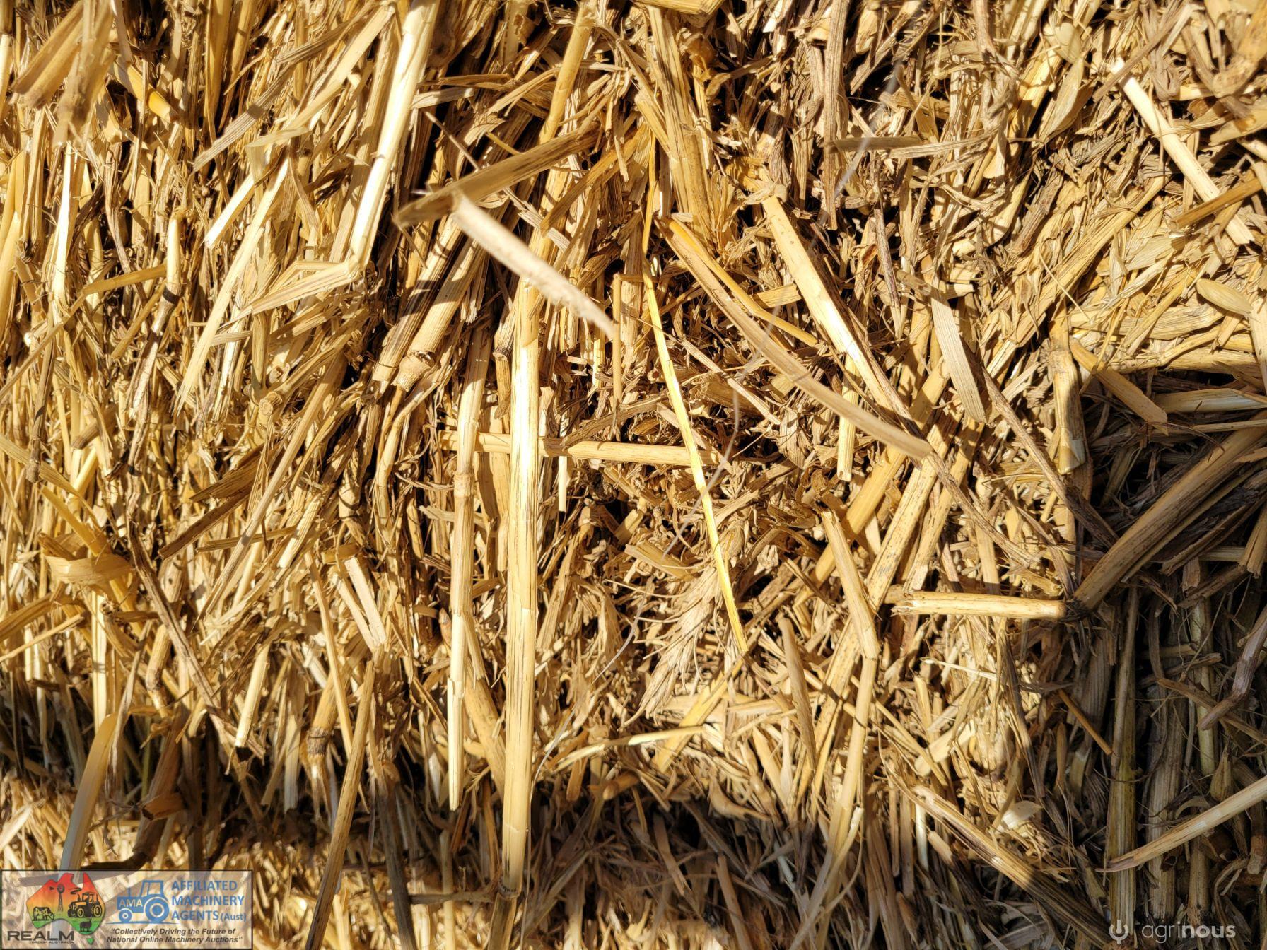 Header Tailings Wheaten Straw (x52) - photo 6