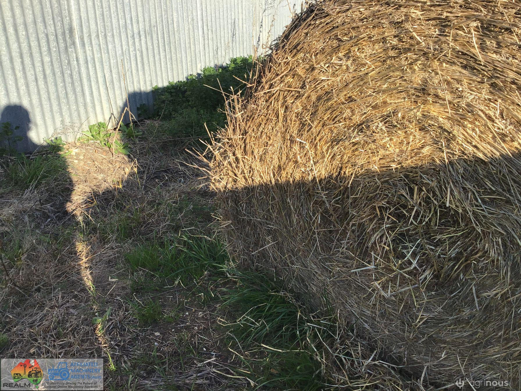 Ryegrass Filler Hay x34 Rolls - photo 2