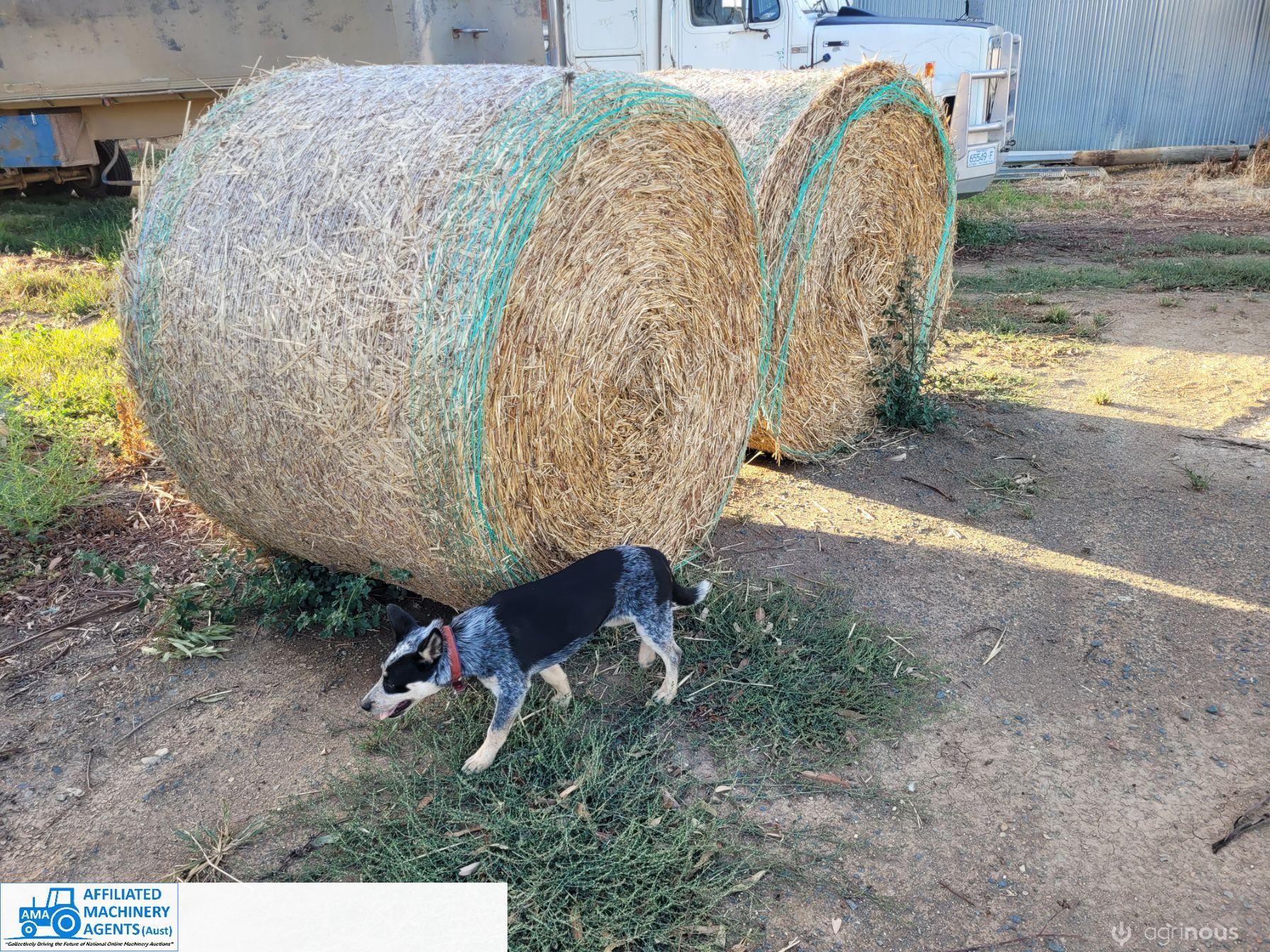 Good Quality Wheaten Straw (x100 Rolls)